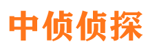 从化婚外情调查取证